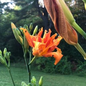 Meet your Posher, Carlos